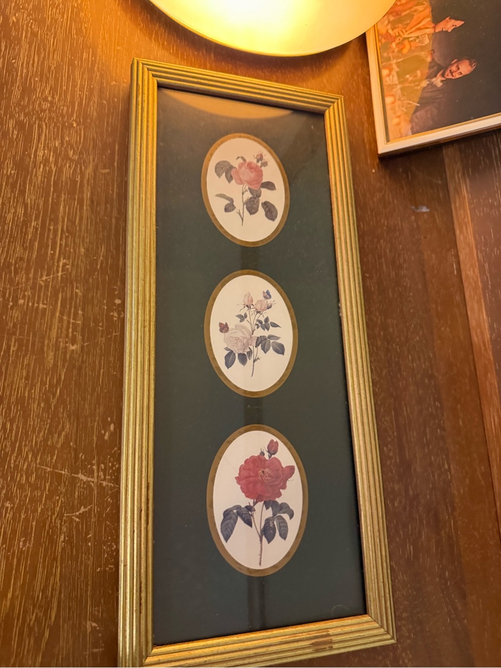 Framed Trio of Rose Botanical Prints - Gold Frame, Green Mat